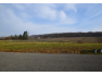 Terrain Berzé-la-Ville  pièce - 88589€